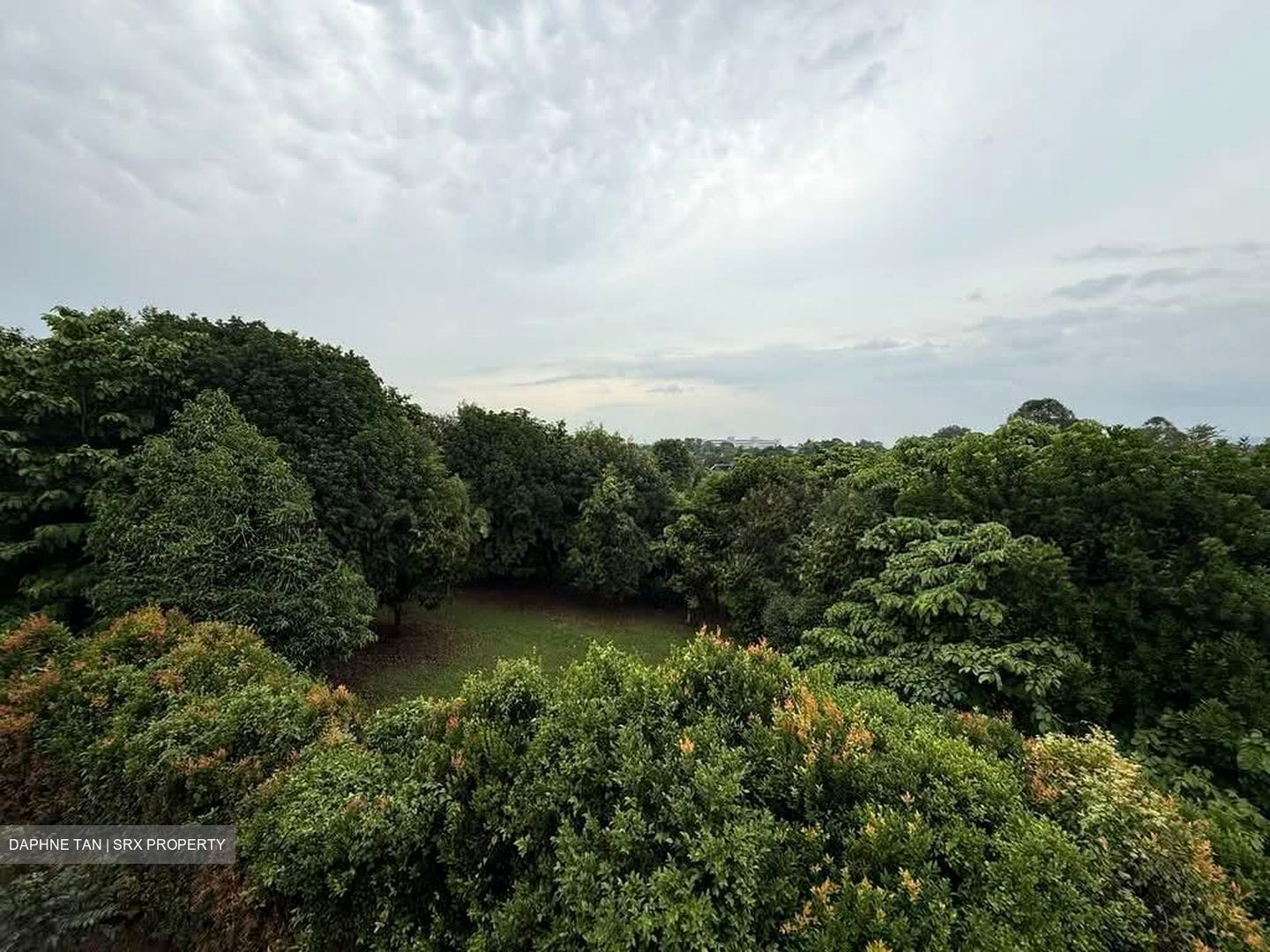 Hong Kong Park (D21), Detached #639034871